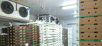 Câmaras Frigoríficas